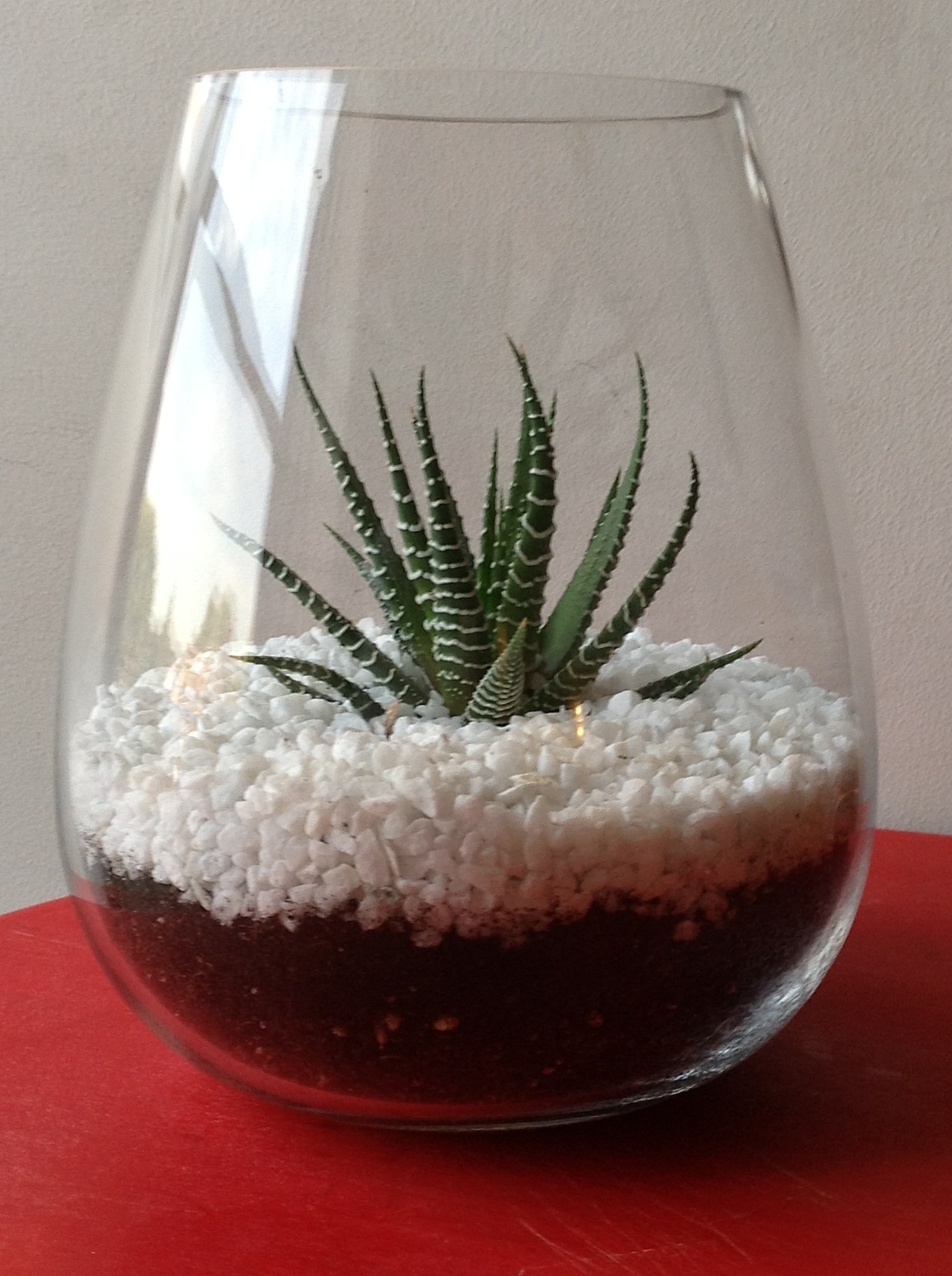 Dollar Store DIY – Terrarium