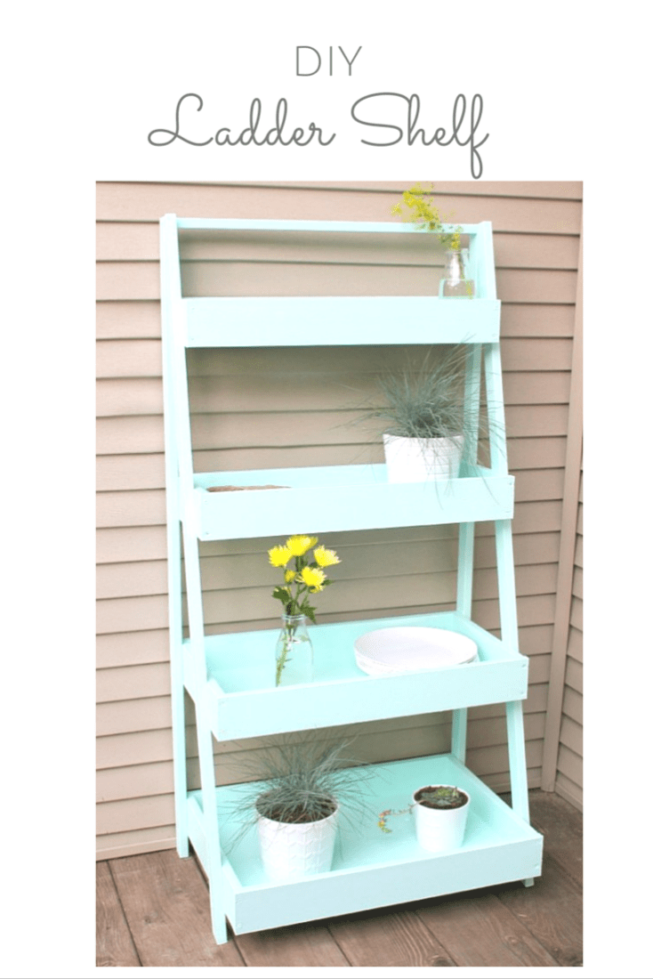 DIY Ladder Shelf