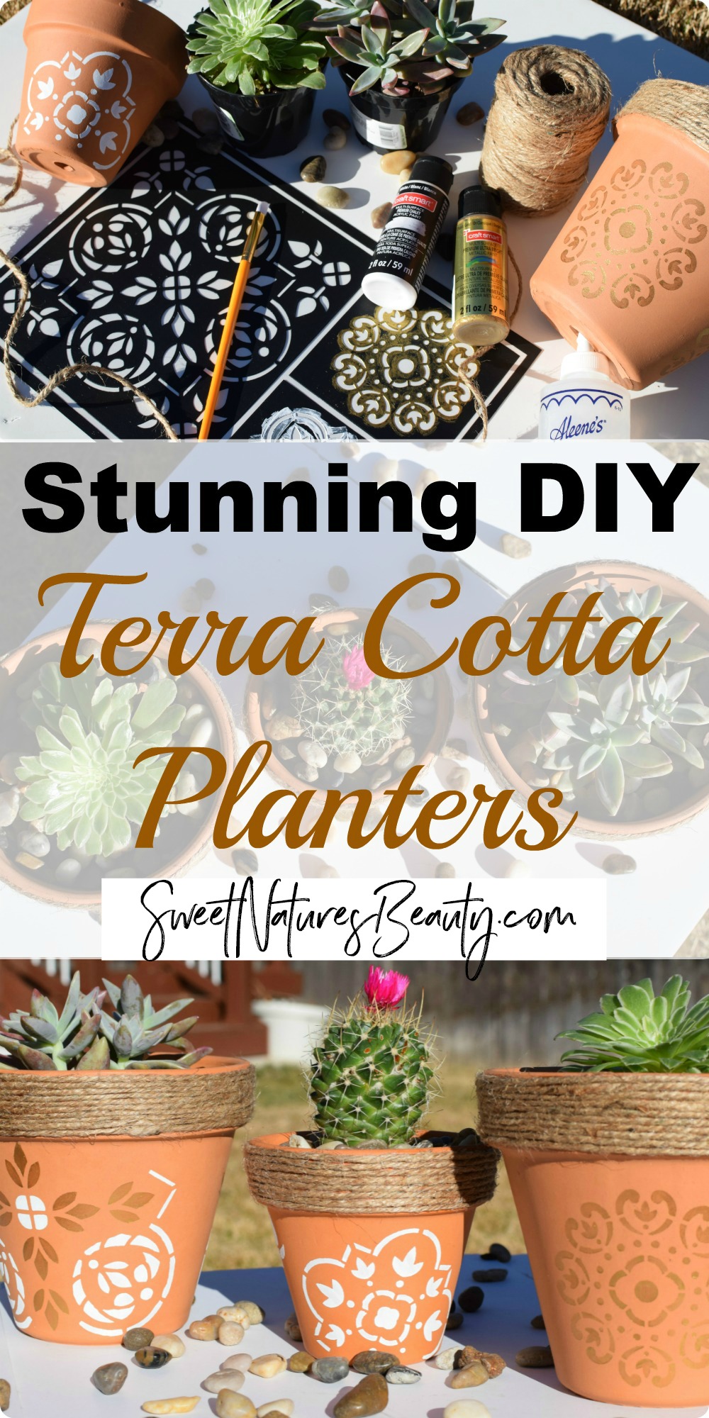 Stunning DIY Terra Cotta Planters