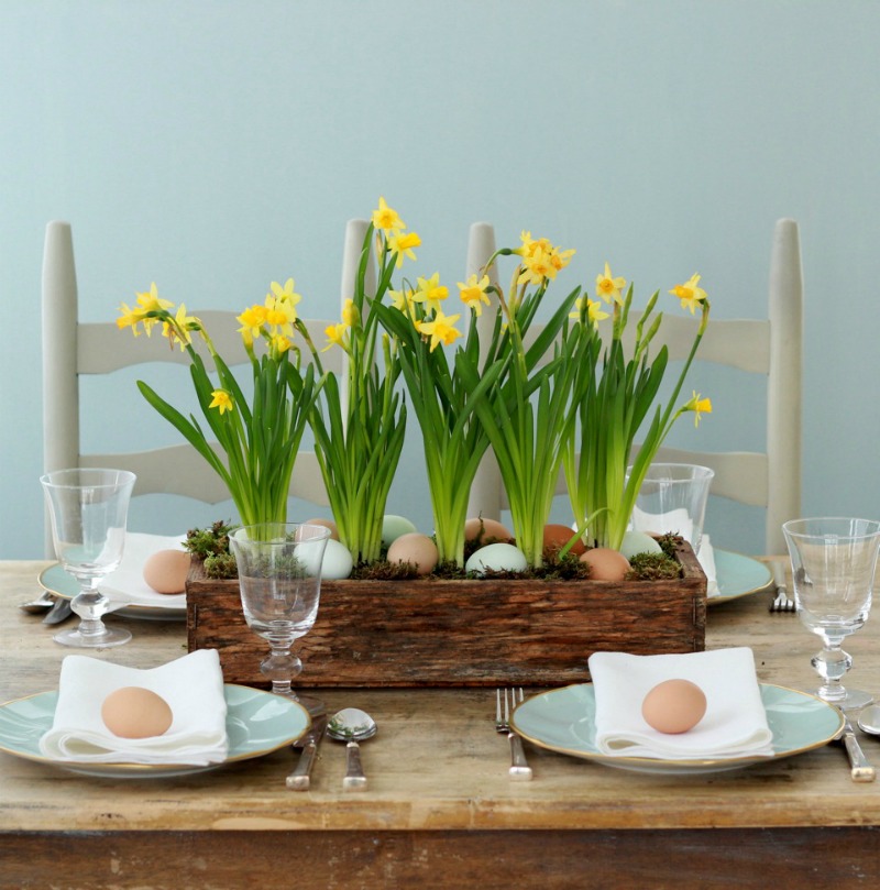 Spring Centerpieces with Blue Eggs and Daffodils