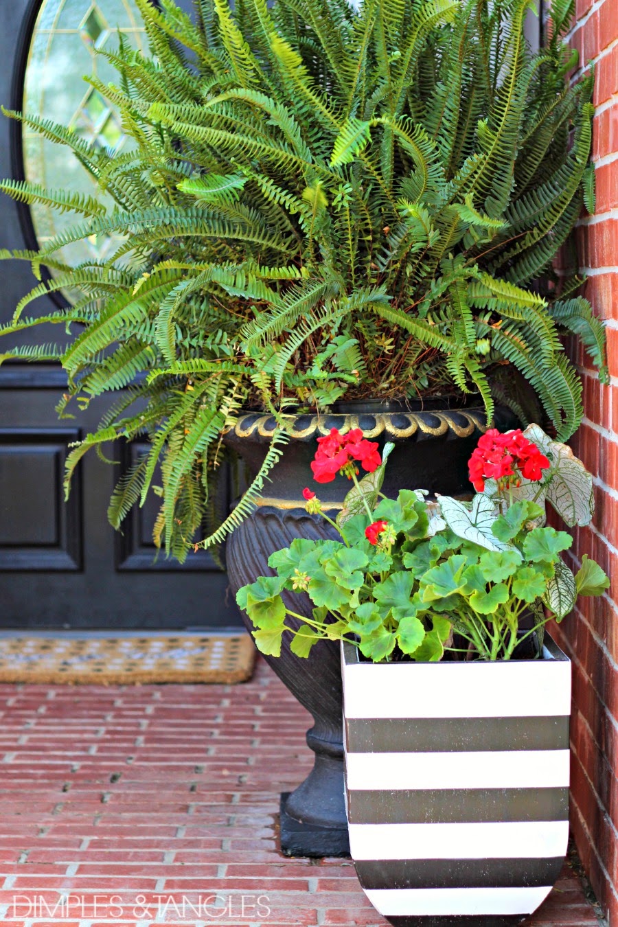 DIY Black and White Striped Pots