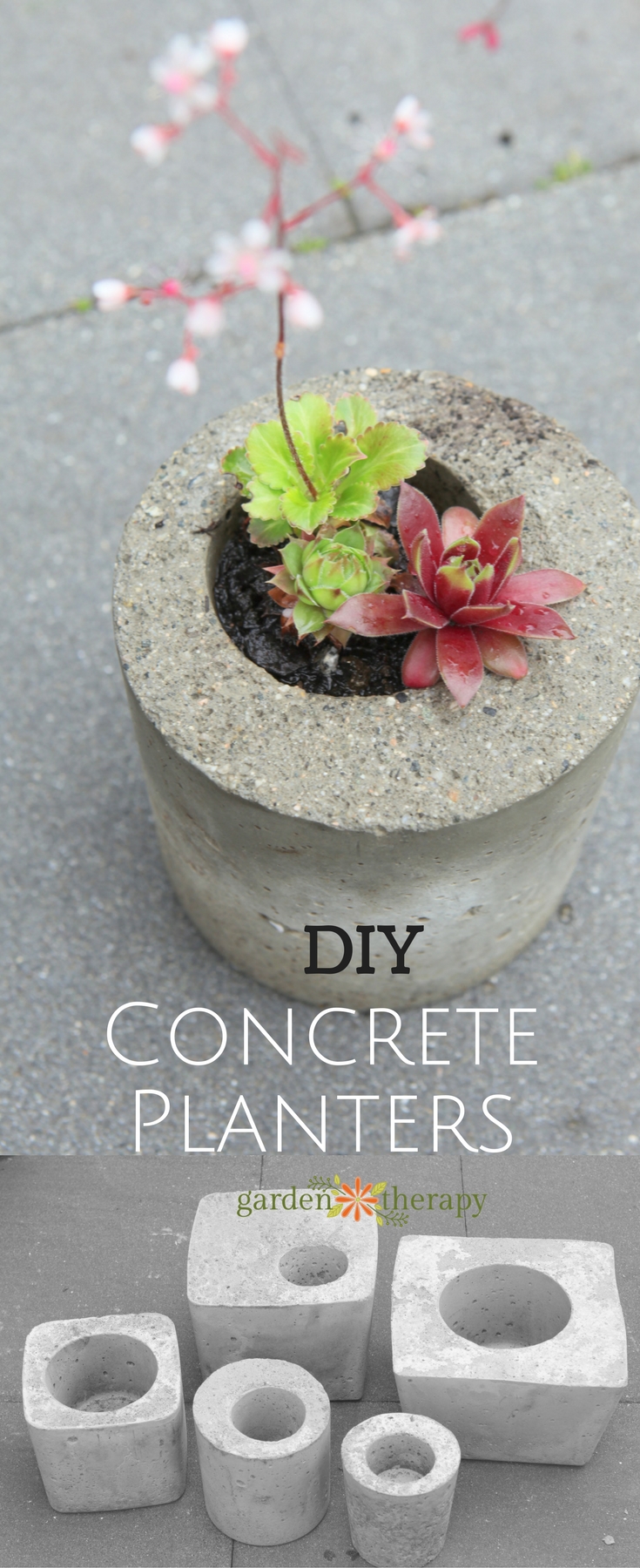 Concrete Planters