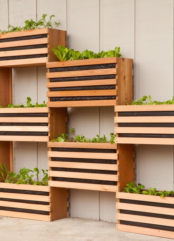 Modern Space Saving Vertical Vegetable Garden